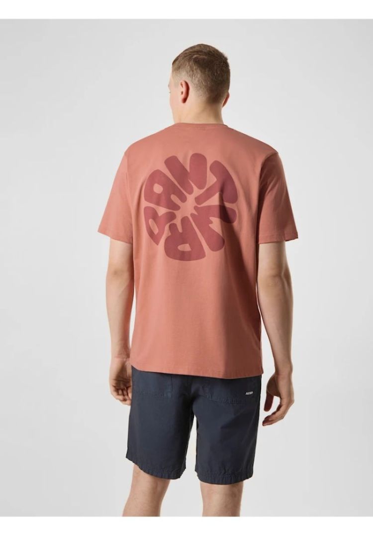 BTS478-L001S canyon stone 34