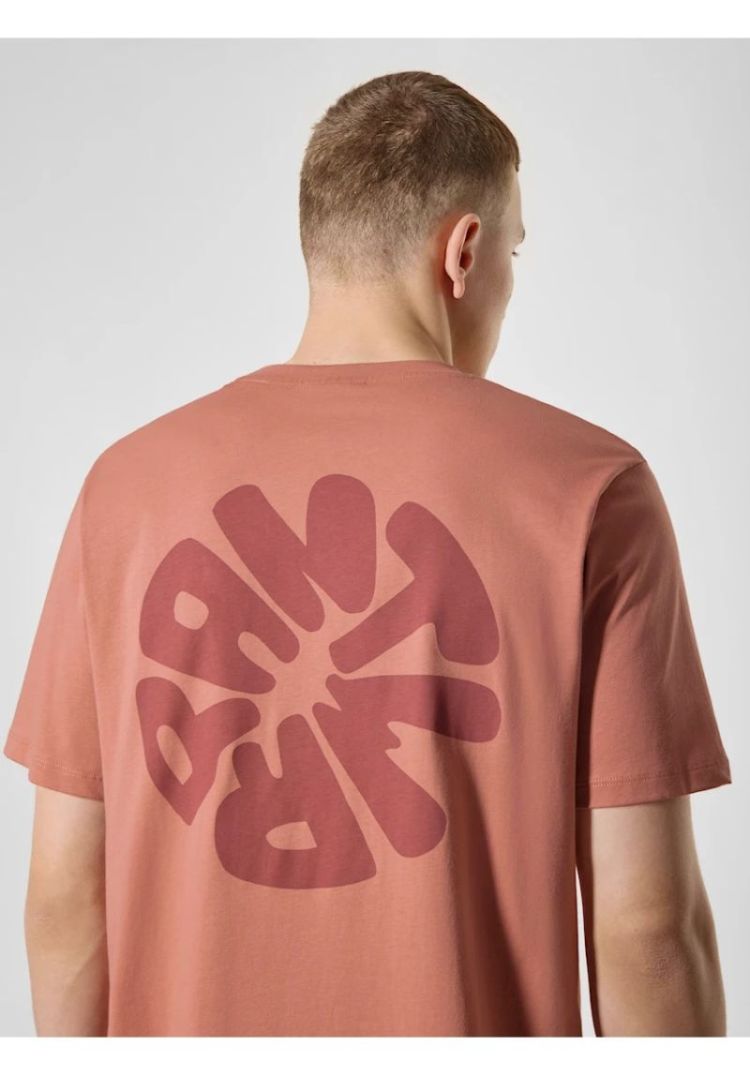 BTS478-L001S canyon stone 34