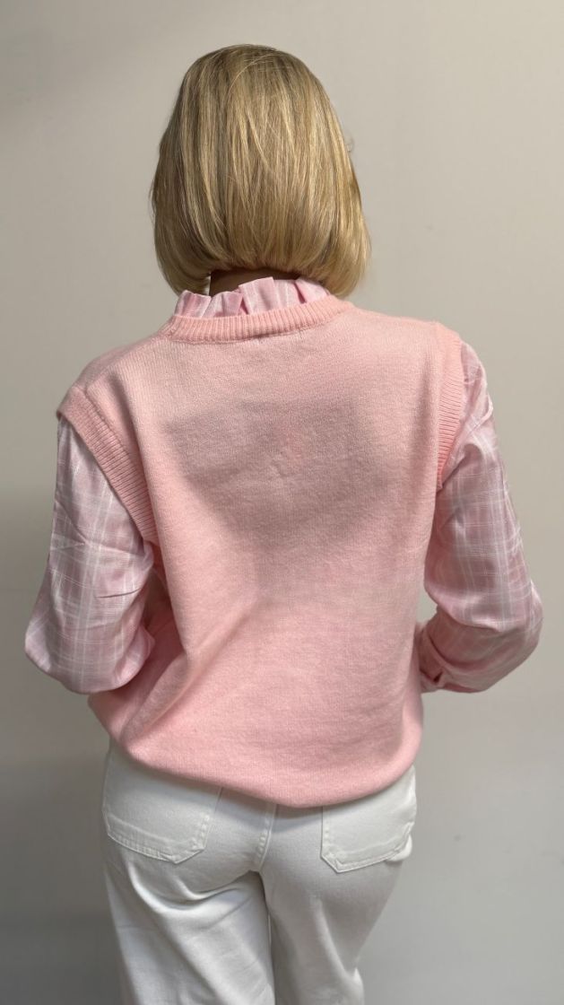 3831408 rose