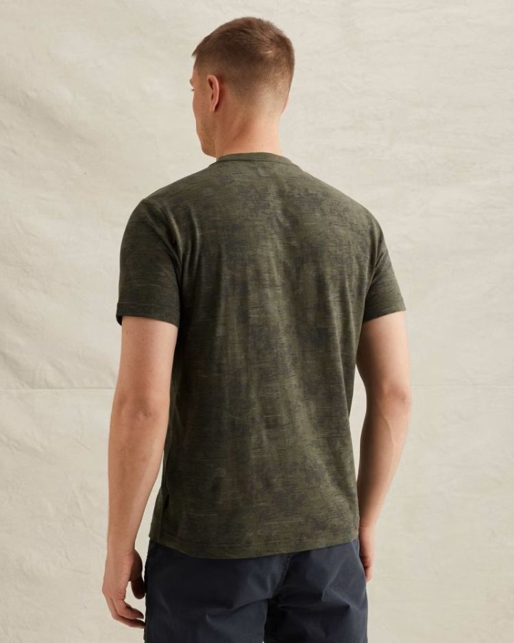 PTSS2603574 thyme 6150