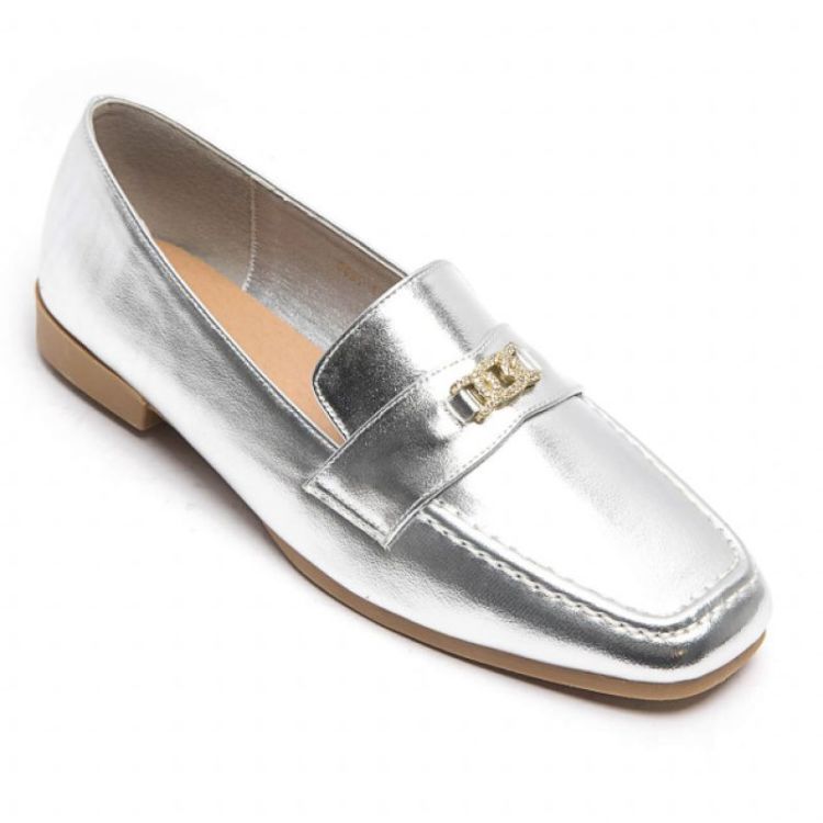 6691-1 silver