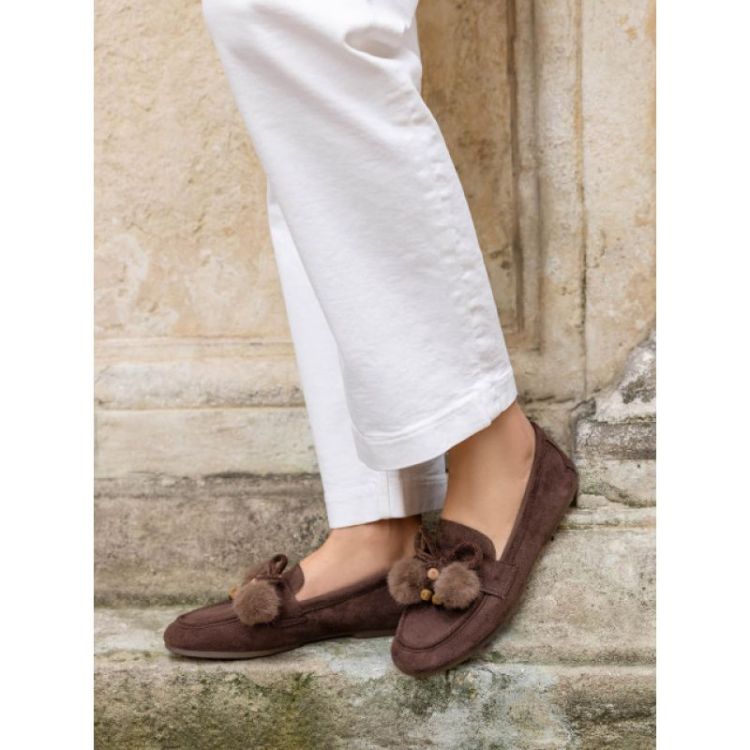 1552 brown