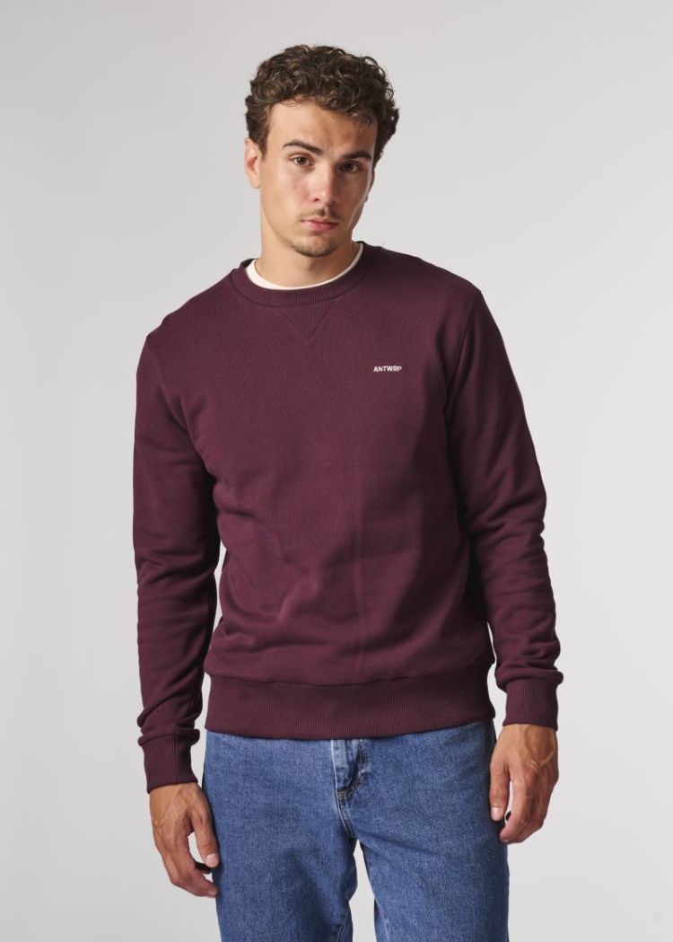 BSW098 burgundy 313