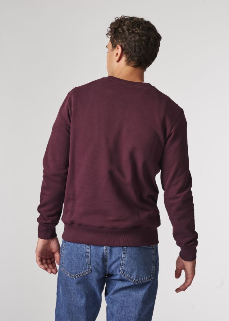 BSW098 burgundy 313